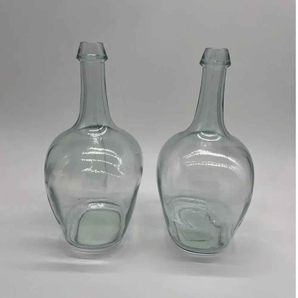 NWOT Spanish Glass Bottle Vases - Birch Lane 8x10